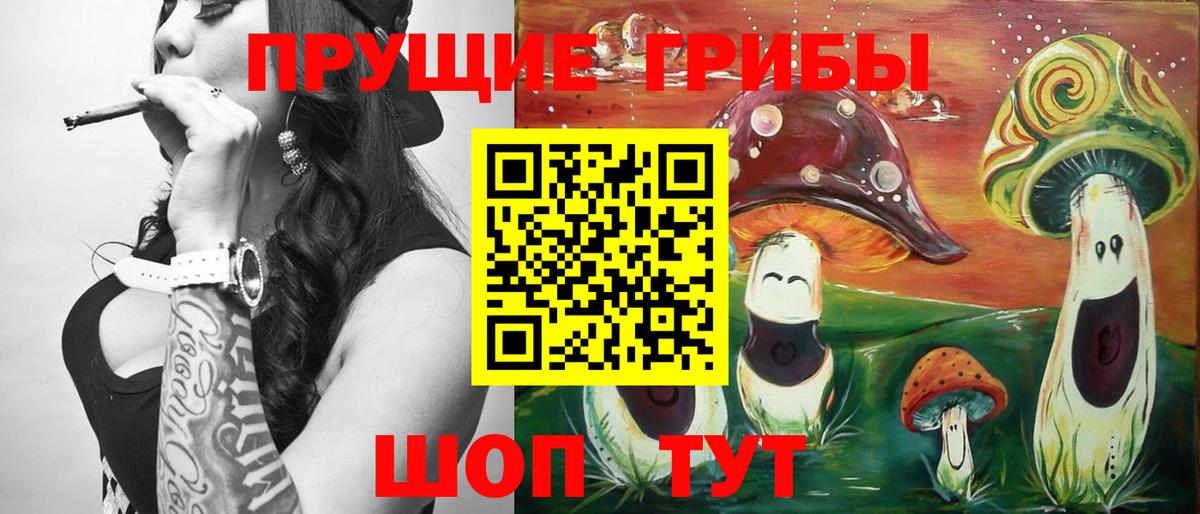 как найти закладки  Галлюциногенные грибы мицелий  Вход с VPN  Пенза  Псилоцибиновые грибы GOLDEN TEACHER 